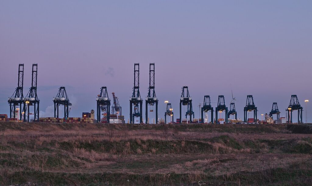 Container terminal cranes at dusk representing generator export logistics